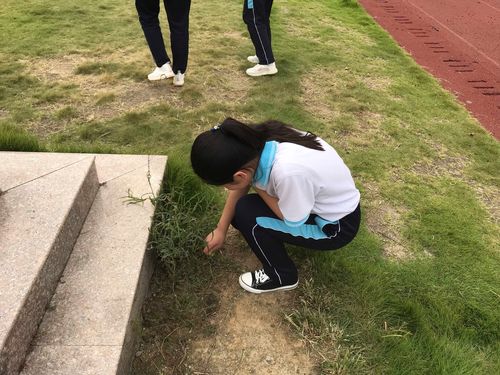 初中走廊学生蹲在地上捡撒了的饭菜