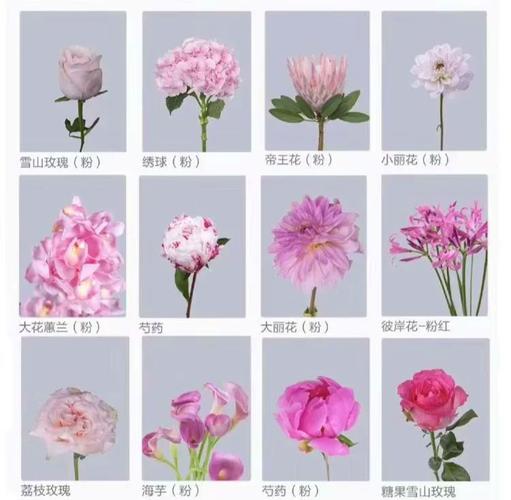 选花材，真不是抓起什么都能用