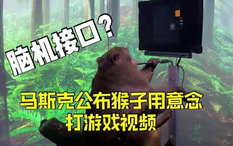 脑机接口，猴子已经用‘意念’打游戏了