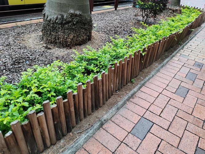 花园矮木栅栏引导小路