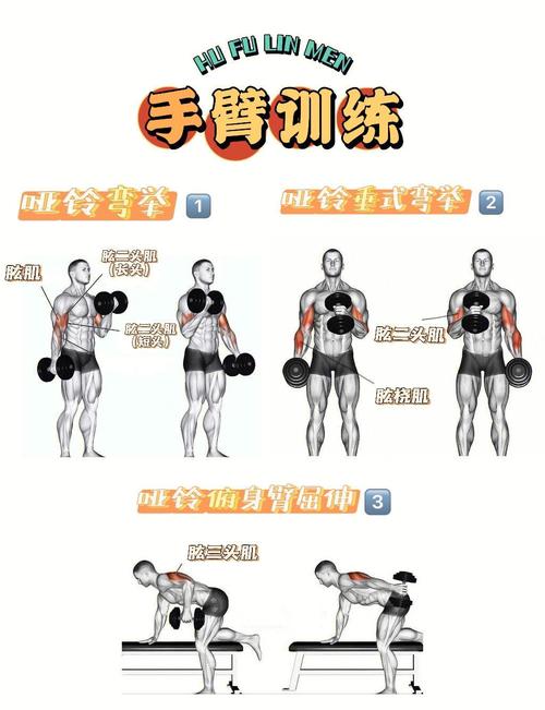 普通人徒手日常抗阻训练动作参考图