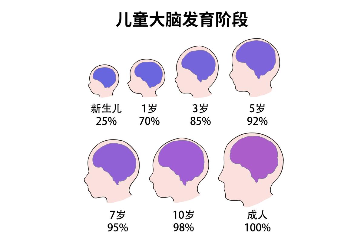 七岁退缩儿童大脑发育类比示意图