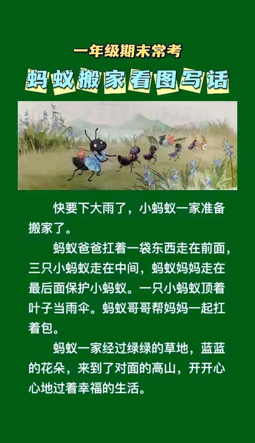 小男孩蹲在院子里观察蚂蚁搬家思考哲学