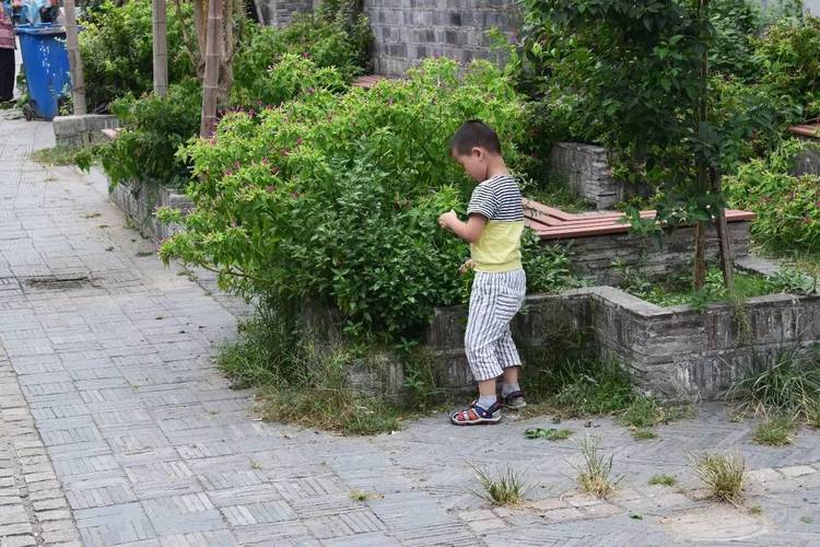 老小区槐树下孩子蹲在阳台听风声