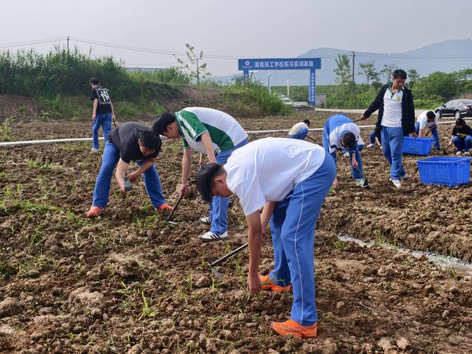 高中学校职业体验活动实践现场
