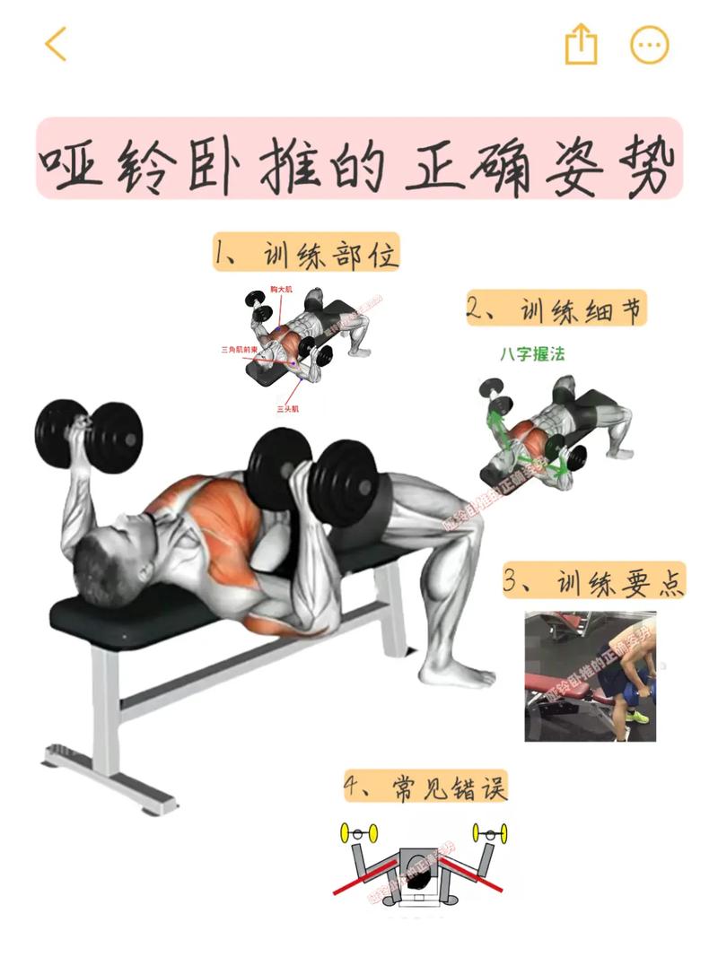 新手健身房哑铃卧推动作细节图解