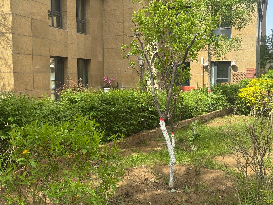 小区公共绿地被私人侵占实景图