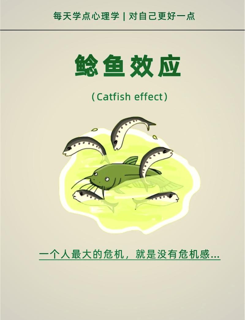 行业里的鲶鱼效应，已经开始了