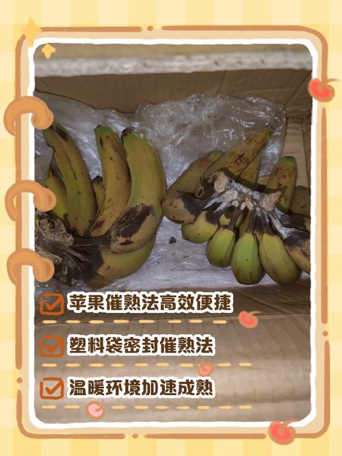家用塑料袋苹果青芒果催熟场景