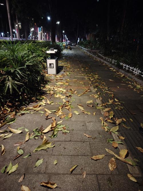 城市街道大风中漫天飞舞的落叶，动感模糊