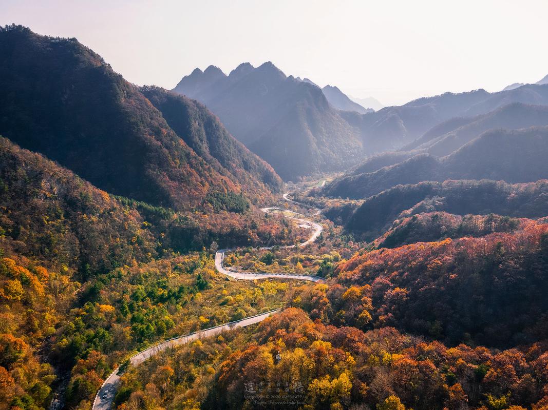 秋日登高远眺漫山落叶开阔山景实景