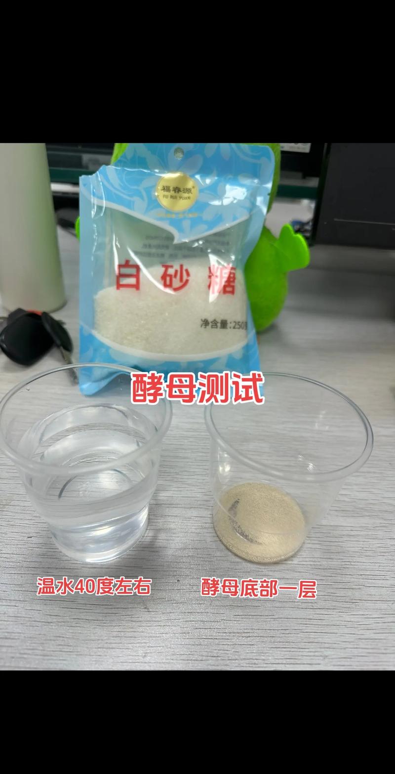 酵母活性测试泡沫对比图