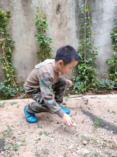 小学课间蹲在走廊陶制花盆边观察西瓜虫的小男孩
