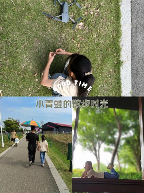 城市湿地公园儿童蹲看青蛙产卵场景