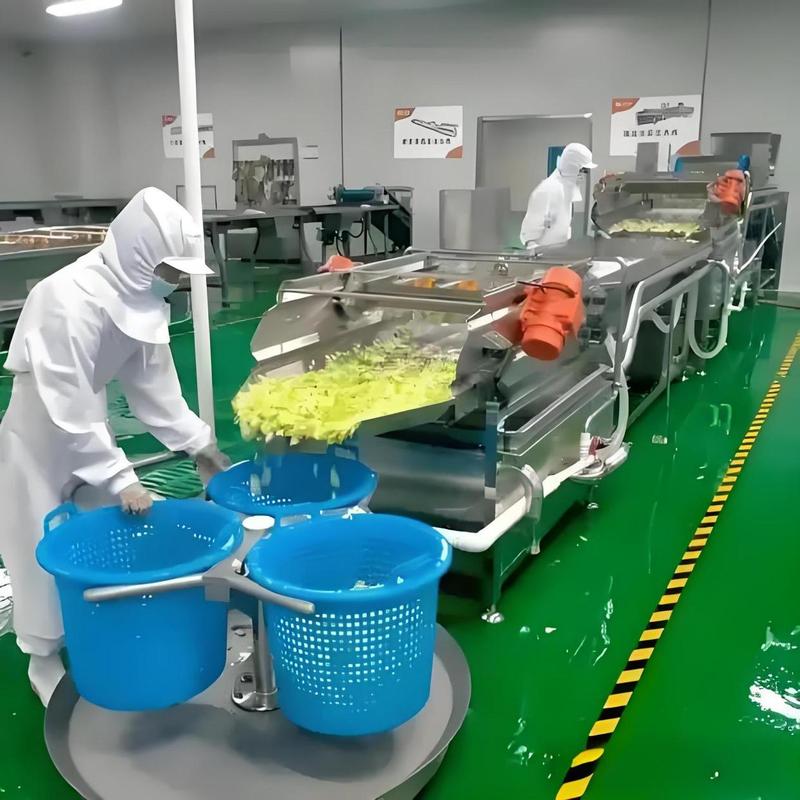 中央厨房全自动净菜切割食品机械现场