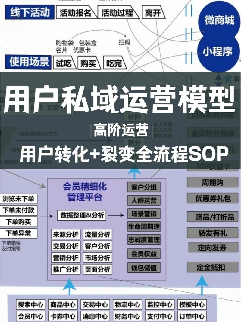 私域流量变现模型与信任构建示意图