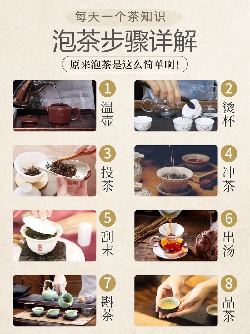 中国茶艺冲泡流程演示
