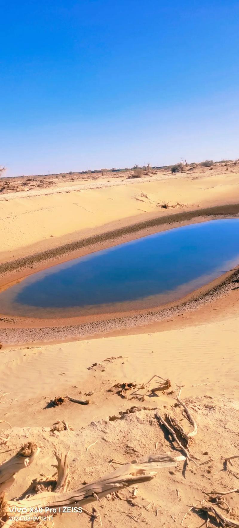 沙漠绿洲清泉渗出沙地形成小水潭
