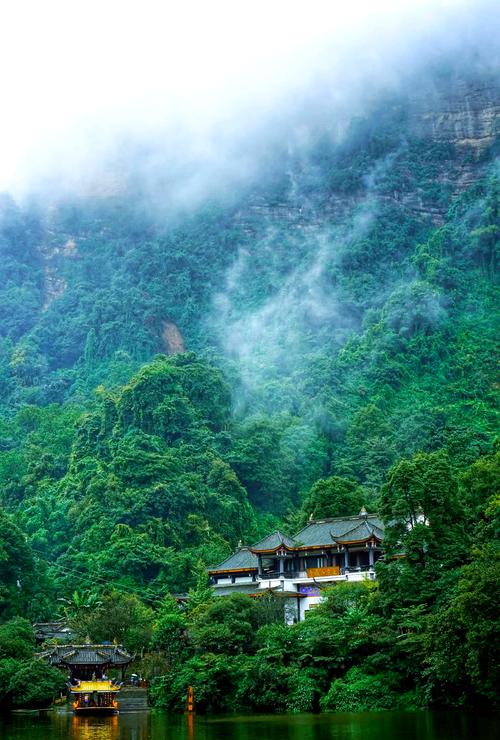 青城山云雾
