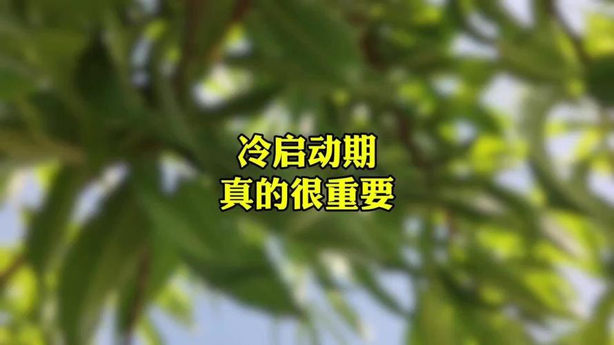 我们真的需要彻底消灭冷启动吗