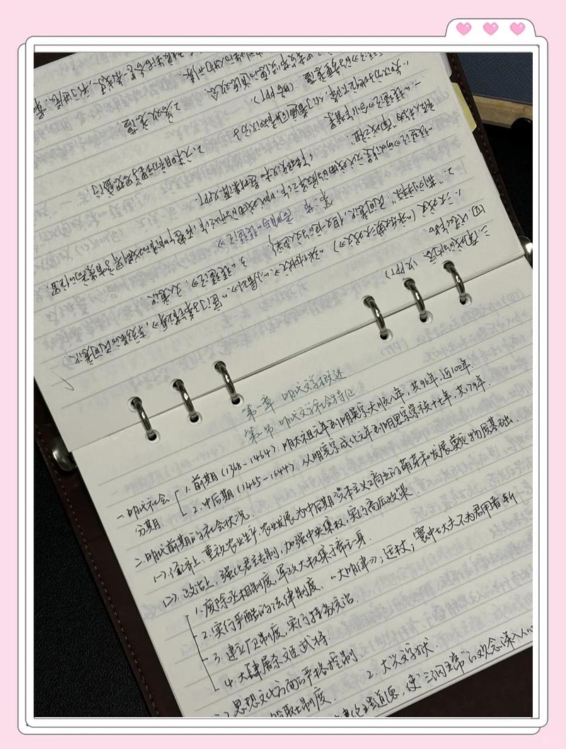 应届毕业生择业整理手写笔记本实拍