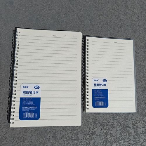 高中女生记录志愿服务的软皮笔记本