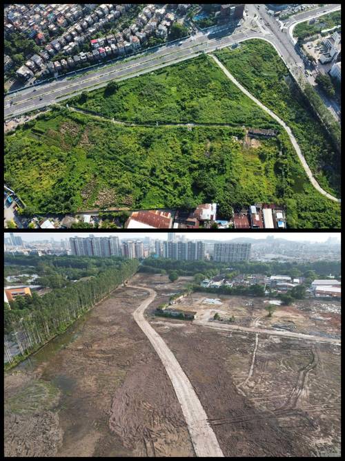 工业城市的自然教育，正在盘活闲置的老土地