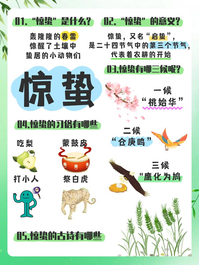 惊蛰春雷唤醒土壤昆虫生态示意图