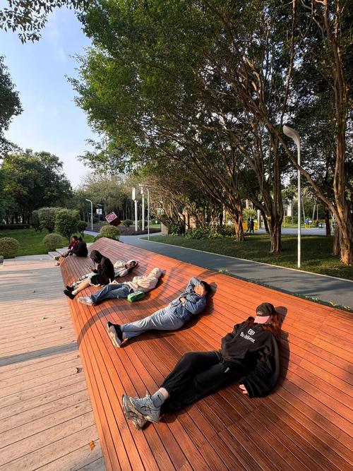 美术馆？不如去公园长椅做白日梦