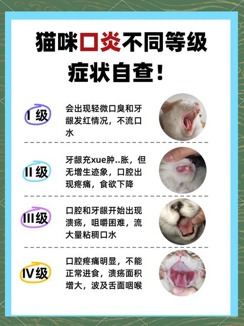 容易被忽略的猫口炎早期信号