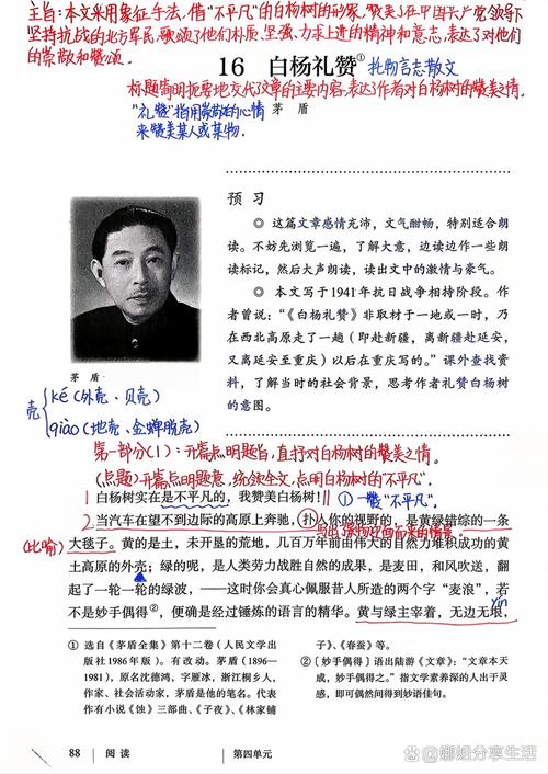 中学生课堂课本批注实拍