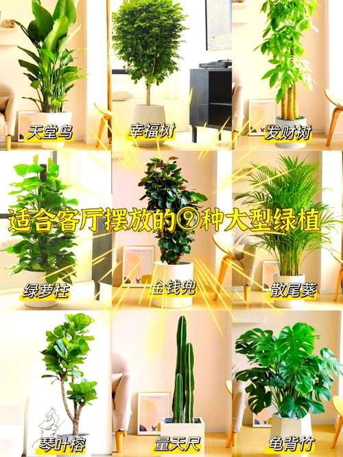 客厅摆满大型居家绿植实拍图