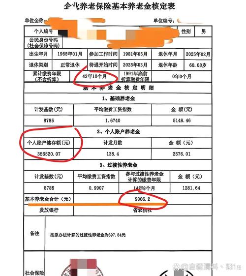 离婚养老保险金查询记录表