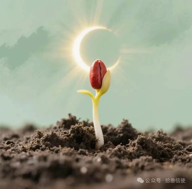安全感：情感萌芽的第一缕光