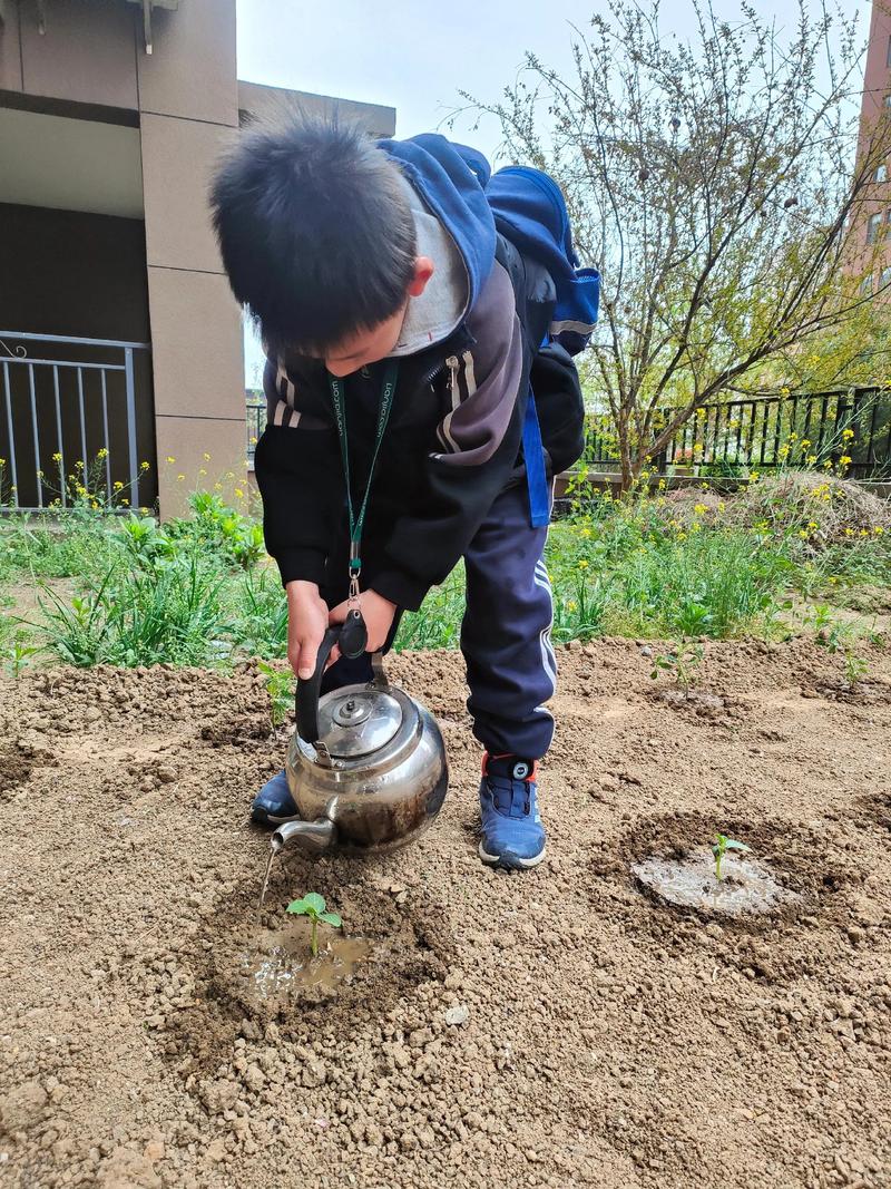 灾后临时安置点里孩子给植物浇水特写