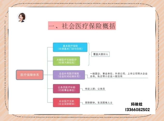 我国基本医保体系分类示意图