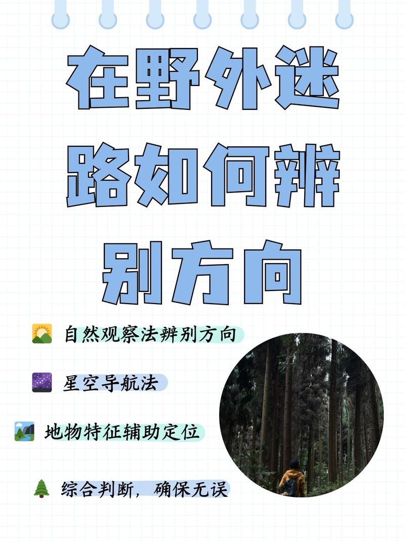 我到底该怎么学?一个野路子清单