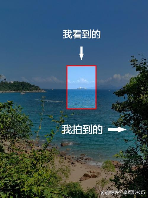 零点击搜索场景背后的小变化