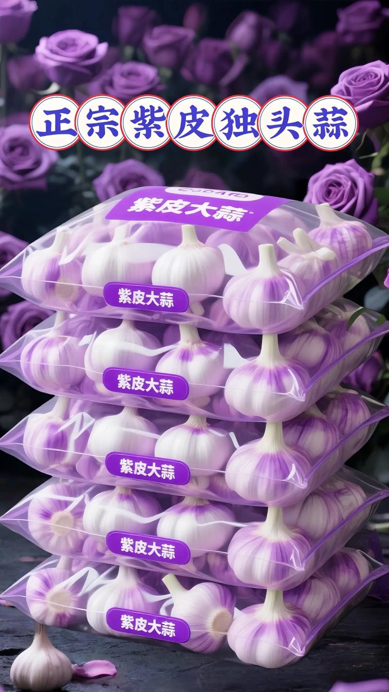 紫皮独头蒜特写,蒜皮有紫色纹理