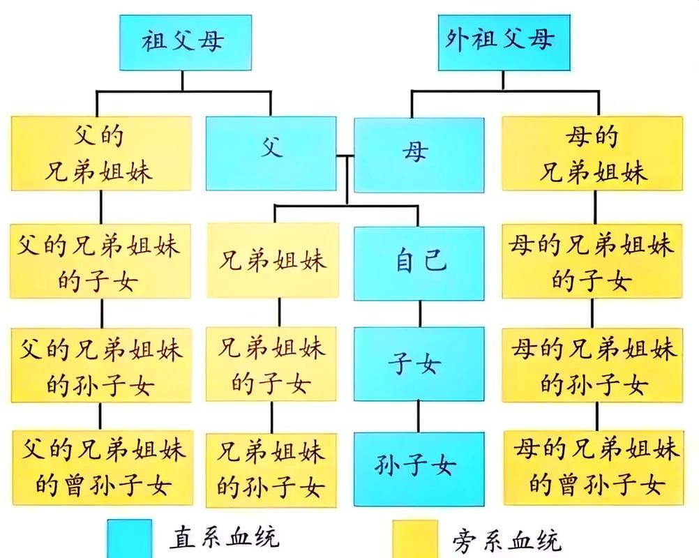 三代亲属家族病史家族树模板