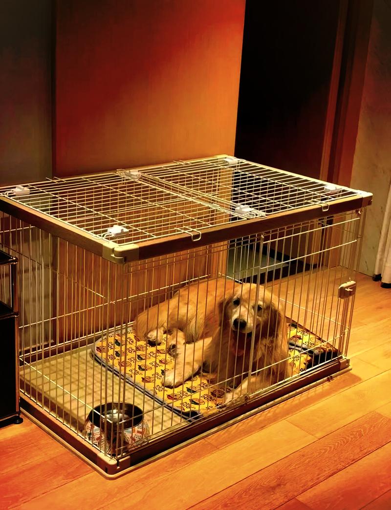 能让大型犬四脚伸直躺平的加粗金属狗笼内部