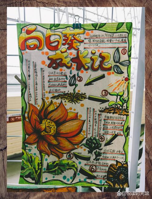 儿童手绘小区生物群落观察笔记实拍