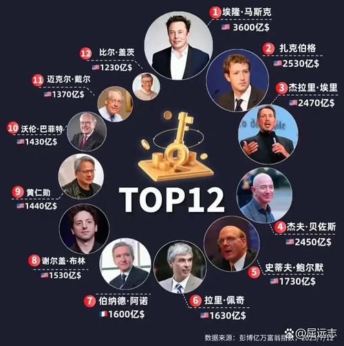 巨头与黑马的卡位