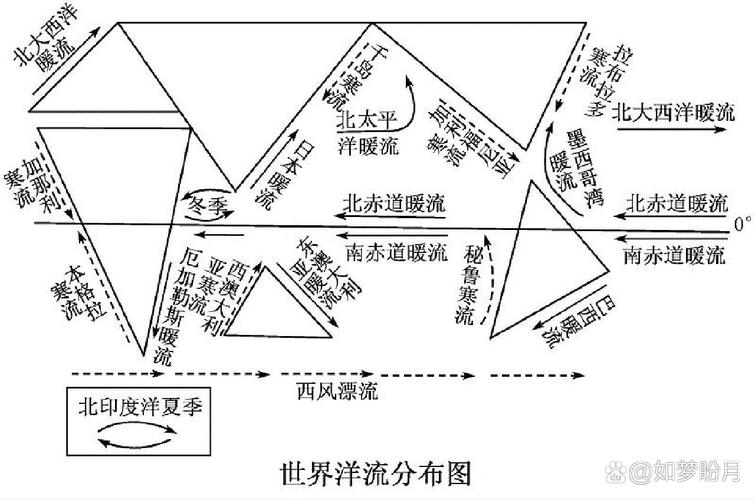 在家就能玩的四个洋流小活动
