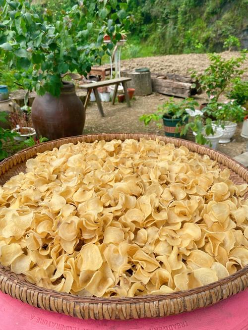 湖北南漳农家院坝晾晒干土豆片