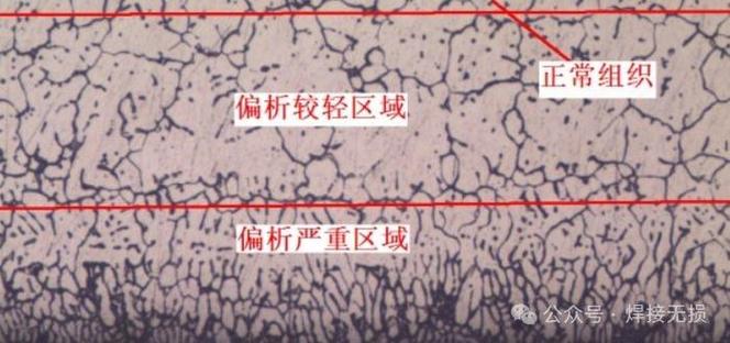 弹簧钢断口心部碳化物偏析金相图