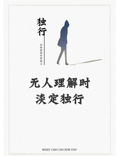 四、预算与心态：独行者的清冷美学