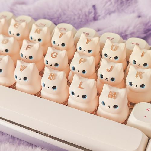 键盘:猫眼里的顶级猫窝?不止!
