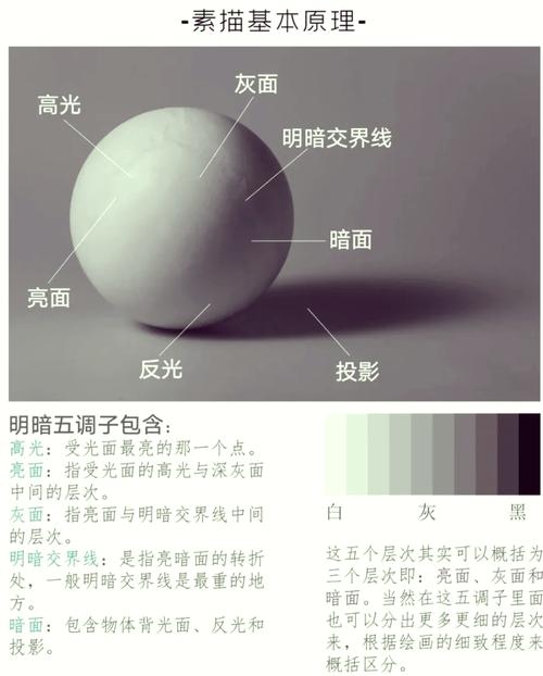 符合新课改要求的五大调子练习法