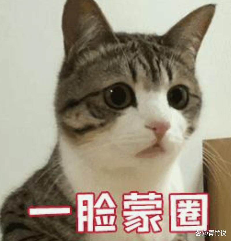 这些特殊情况,你绝对蒙圈
